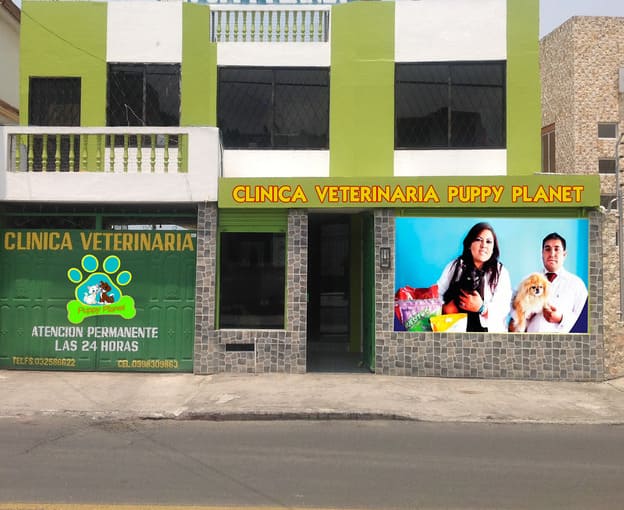 Clinica casa (1)