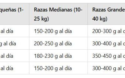 Tabla de Porciones de Alimentos para Perros Cachorros: Una Guía Completa para su Nutrición